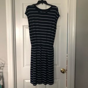 Banana Republic Factory Navy Striped Dress